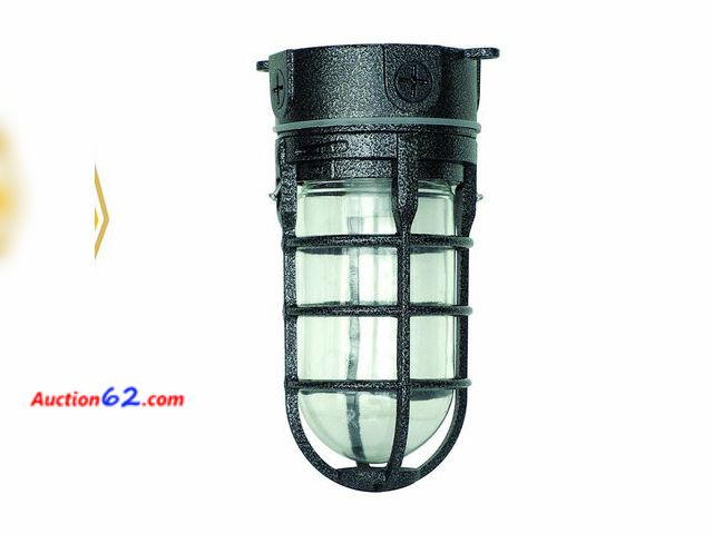 Lot 44-1620p - Woods L1706BLK Vandal Resistant 150W Incandescent Security Light, Ceiling Mount, Hammered Black Appears New, A basic inspection has been giv...