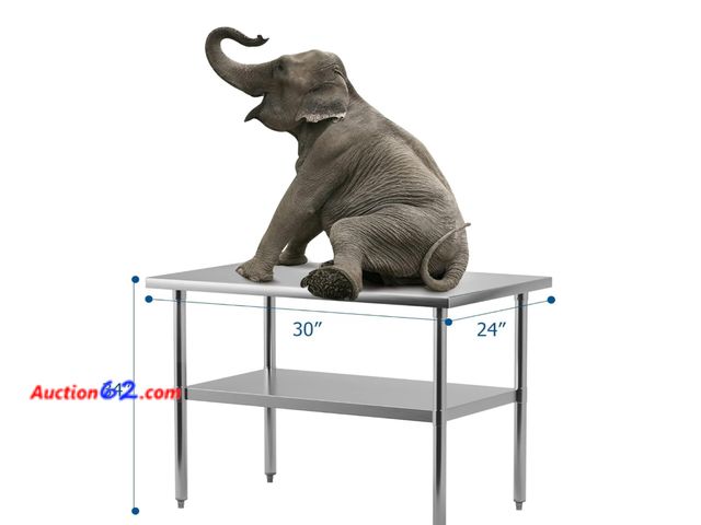 Lot 44-86z - Retail value of $172- Stainless Steel Work Table,30x24 inches Kitchen Prep Table Equipped... Appears New