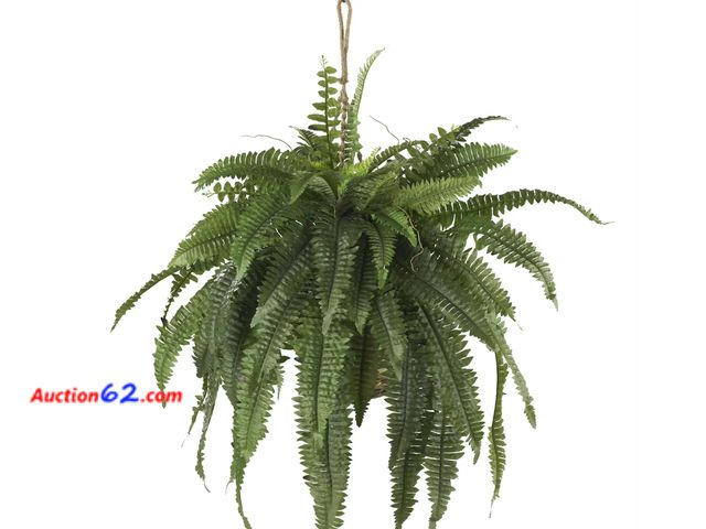 Lot 44-230b - Retail of $54.99- Nearly Natural Large Artificial Boston Fern Hanging Basket 1. Appears New, A basic inspection has been given to this item....