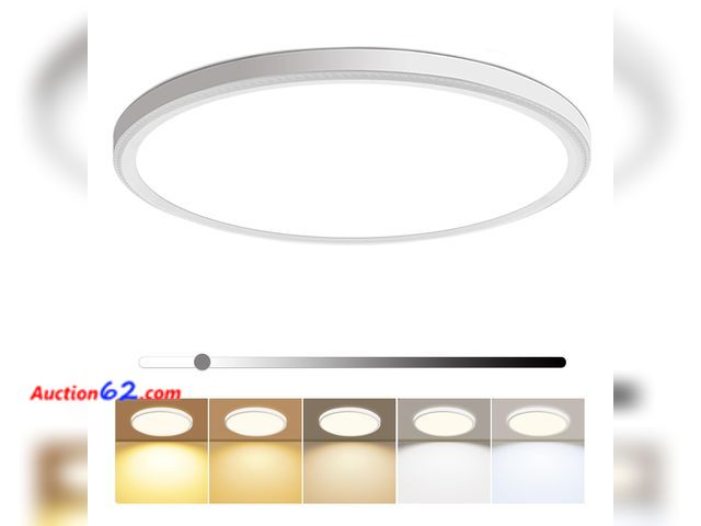 Lot 44-1830w - hunhun 16 Inch Dimmable LED Flush Mount Ceiling Light 4800LM Round Light Fixture 5 Color Temperature Selectable Super Slim Large Flat Ceilin...