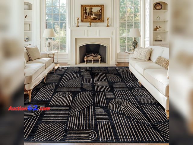 Lot 44-1772a - $149.99 Retail price - MUJOO Washable 8x10 Area Rugs Low Pile Non Slip Mid Century Modern Large E-Commerce Return, A basic inspection has be...
