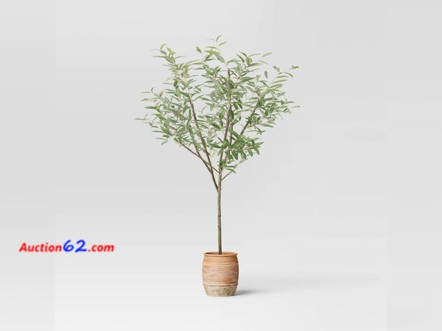 Lot 44-745p - Retail value- $170- 72" Olive Artificial Tree with Cement Pot - Threshold™ Designed with Studio McGee Appears New, A basic inspection has be...