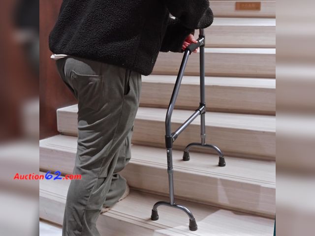 Lot 44-198 - EASACE Stair Climbing Assist Cane,Adjustable Stair Cane for Walk Up and Down Stairs,Elderly Stair Lift Assist Devices for Senior Walkers App...