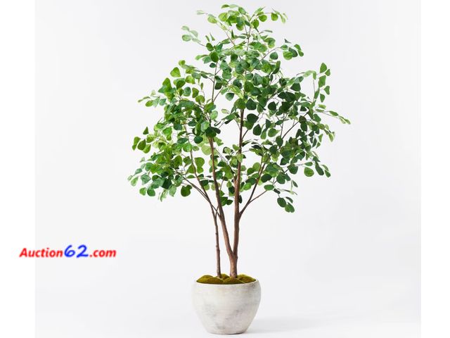 Lot 44-932w - 72" Artificial Ficus Tree - Threshold Appears New, A basic inspection has been given to this item. Sold AS-IS. See All Photo's Not Tested