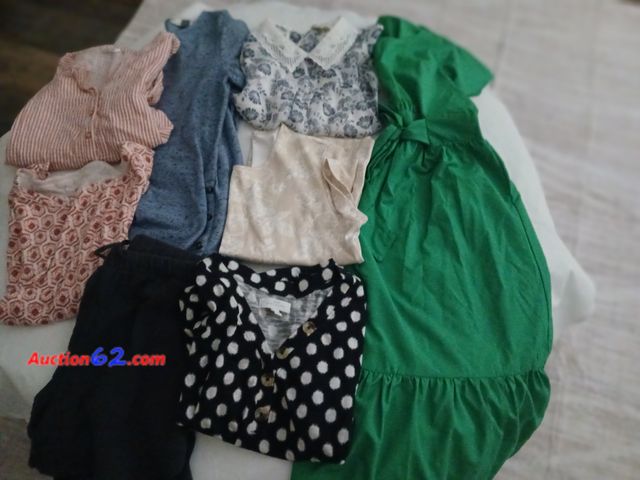 Lot 44-2003a - One lot of  gently used Women's size Medium clothes.  One Christopher &amp; Banks top, worn 2 times.  One pair gently used Stars Above short...