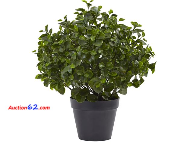 Lot 44-162b - Retail of $87- Indoor/Outdoor 23 in. Artificial Peperomia Plant UV Resistant 1. Appears New, A basic inspection has been given to this item....