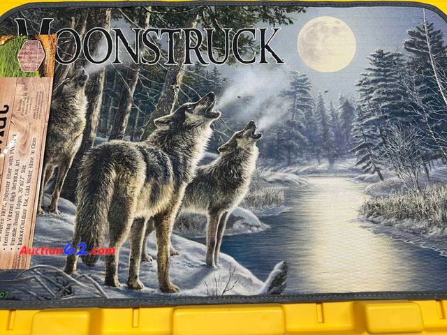 Lot 44-7529t - Moonstruck door mat 30x17.7 in. NEW. See All Photo's Not Tested Never opened, Factory Sealed
