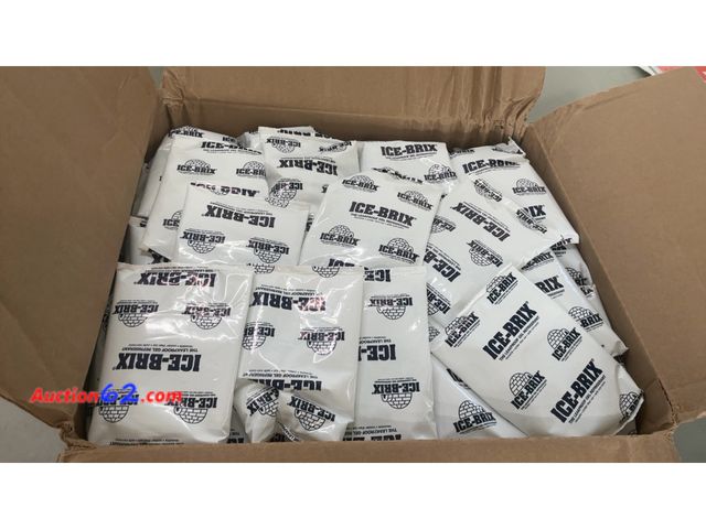 Lot 44-1559o - Polar Tech | IB 6 | ICE-BRIX &amp; XTREME BRIX Cold Packs | 6 oz, 6" x 4" x 3/4" (Case of 48) Not Tested See All Photo's Appears New, A basi...