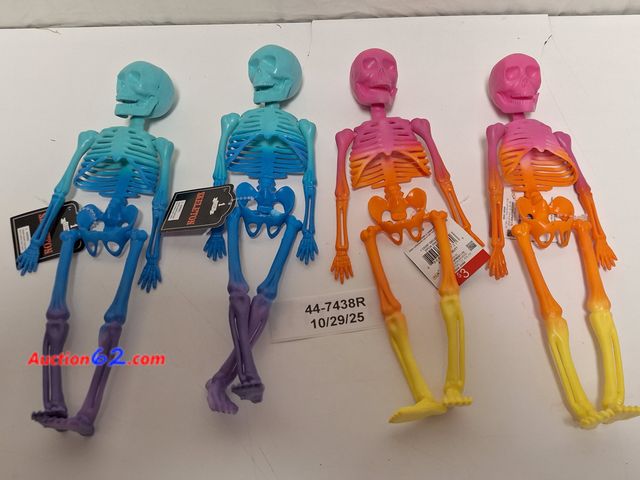 Lot 44-7438r - 12" Rainbow Skeleton, 4 pk Appears New, A basic inspection has been given to this item. Sold AS-IS.