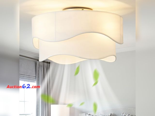 Lot 44-673o - $125 Retail price - DSYBRI Flush Mount Ceiling Fan with Lights, 20" Low Profile Boho Ceiling Fan with Light Remote Control, Caged with 6 Spe...