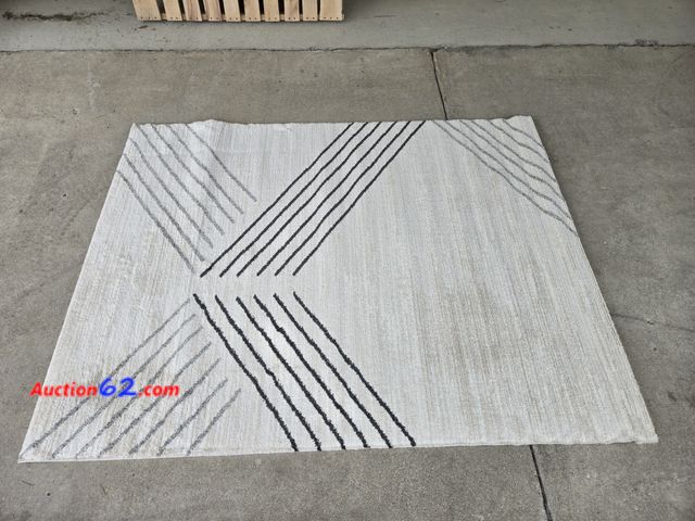 Lot 44-6998p - Project 5x7ft Area Rug Appears New, A basic inspection has been given to this item. Sold AS-IS.