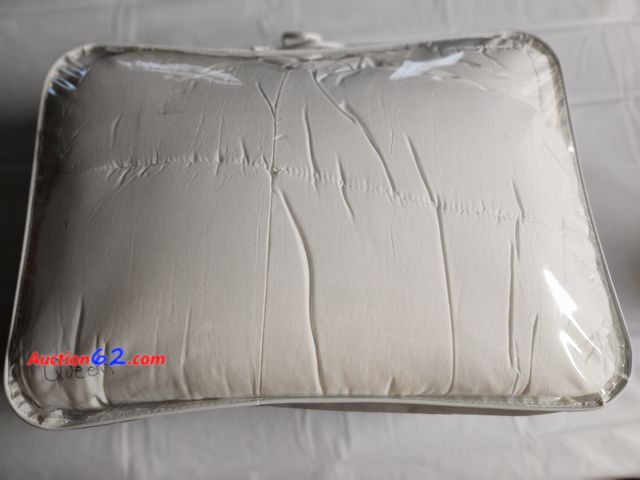 Lot 44-2138g - 1 Queen size Duvet comforter filler. New in bag. See photo. Appears New, A basic inspection has been given to this item. Sold AS-IS. See All...