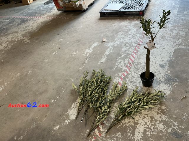 Lot 44-1158p - Lot of (1) 6 ft Olive Tree  Appears New, A basic inspection has been given to this item. Sold AS-IS. See All Photo's Not Tested Unmarked, No...