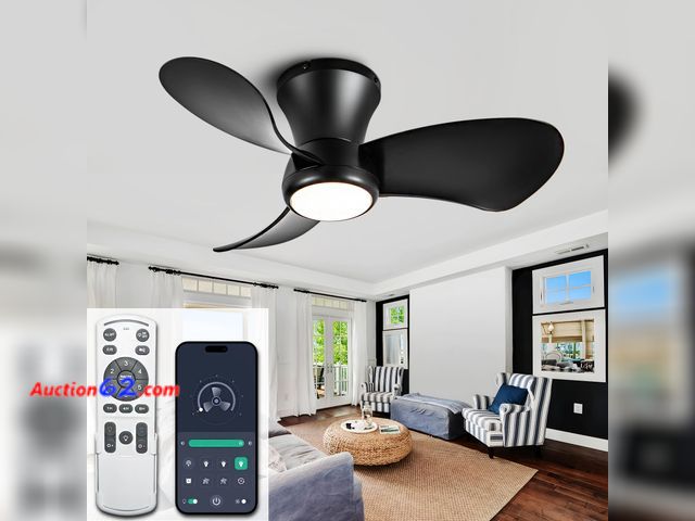 Lot 44-1164o - $79 Retail price - ducrew 24 Inch Flush Mount Ceiling Fans with Lights, High Airflow Remote/APP Control, 3CCT Dimmable LED Light, Recessed C...