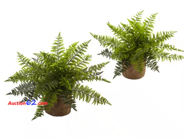 Lot 44-167b - Retail of $42- 15 in. Artificial Ruffle Fern Bush with Burlap Base (Set of 2) 1. Appears New, A basic inspection has been given to this item...