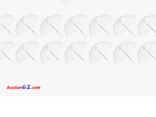 Lot 44-1789 - AWABIUP 15 Pcs Wedding Bubble Umbrellas -  Appears New, A basic inspection has been given to this item. Sold AS-IS. See All Photo's Not Test...