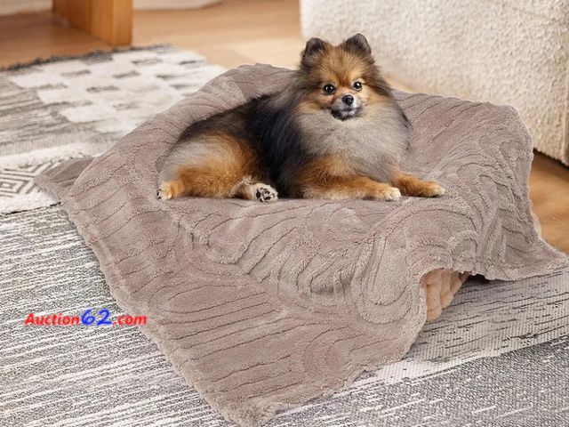 Lot 44-6860g - YQB Chicute Waterproof Dog Blanket, Luxury Plush Washable Large Dogs Blankets for Couch Protection (Brown, 40"x50") Appears New