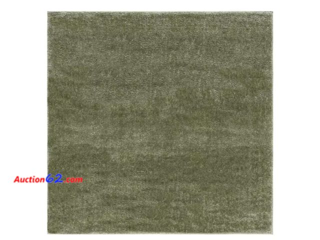 Lot 44-1160g - Retail value $33- Tahoe Shag 3 ft. x 3 ft. Sage Modern Solid square Area Rug- Bent  Appears New, A basic inspection has been given to this i...