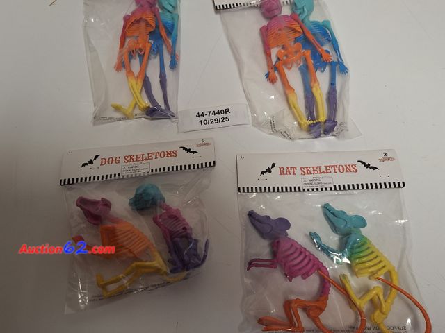 Lot 44-7440r - 8 count Rainbow skeletons, 2 rat skeletons, 2 dog skeletons and 4 human skeletons  Appears New, A basic inspection has been given to this it...