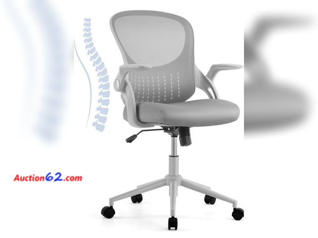 Lot 44-7496g - Home office ergonomic mesh computer desk high back swivel task executive chair with soft armrests padded lumbar support and adjustable rotat...