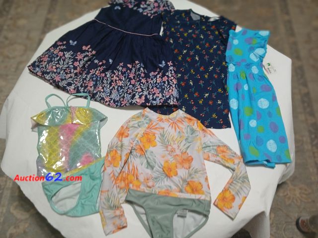 Lot 44-2015w - Girls size 5 lot.  One gently used Primark Premium dress.  One gently used Old Navy dress.  One new Healthtex dress.  One gently used Rash g...