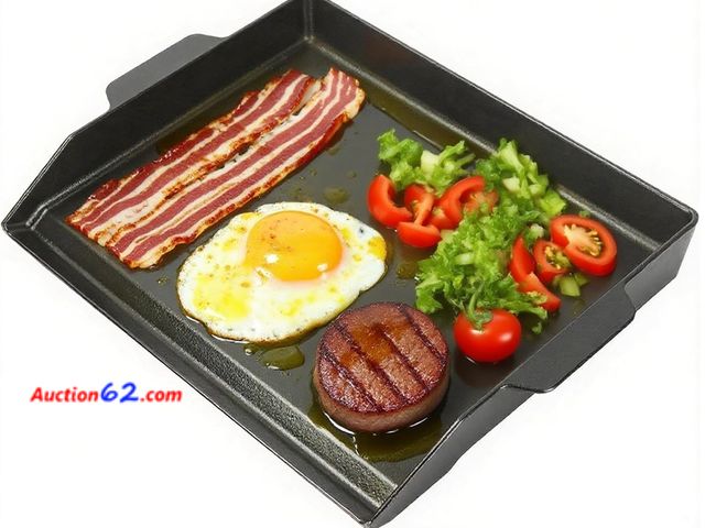 Lot 44-1127j - WEBROIL Universal Cast Iron Cooking Griddle Insert,Pre-Seasoned Nonstick Coating Griddle Pan for Gas Grill,BBQ Flat Top Grill Plate with Hig...