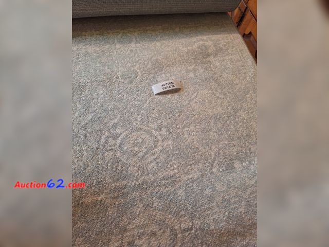 Lot 44-7005f - Lola Collection gray 3'×16'5" runner E-Commerce Return, A basic inspection has been given to this item. Sold AS-IS.