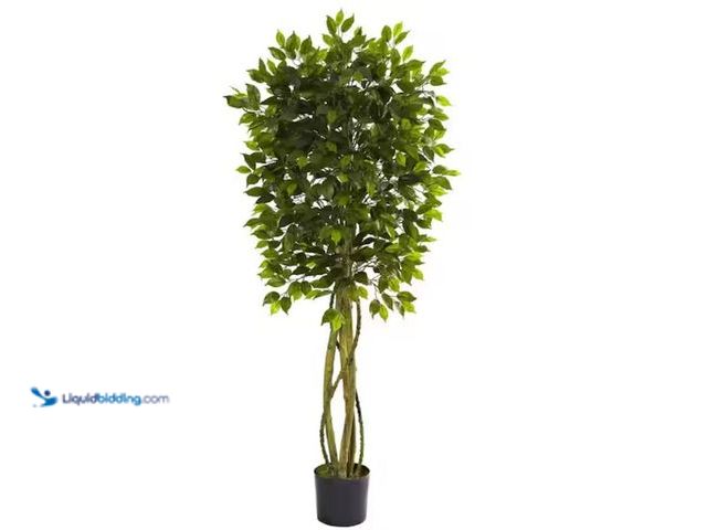 Lot 49-3614329 - Nearly Natural 5.5-ft. Artificial UV Resistant Indoor/Outdoor Ficus Tree, Model # 5380, Slightly use...
