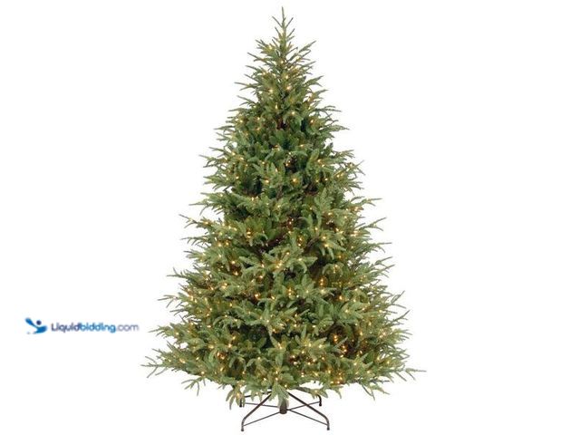 Lot 49-5446762 - National Tree Company
7.5 ft. Fraser Grande Artificial Christmas Tree with Clear Lights. Item is Ne...