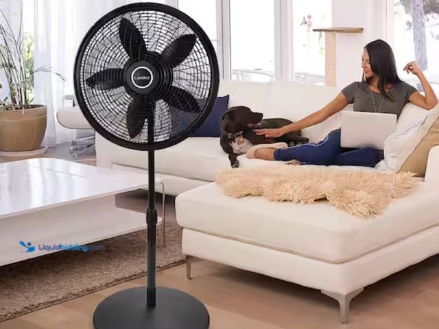 Lot 49-2005681 - Lasko Cyclone 18 in. 3 Speed Oscillating Pedestal Fan for Home in Black with Adjustable Height, Tilt...