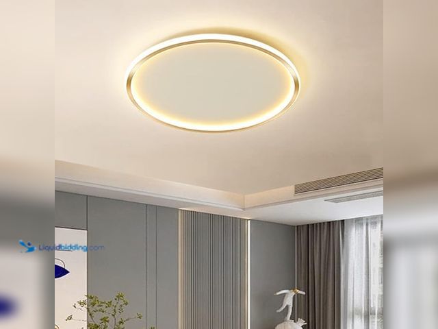 Lot 49-1568608 - Liudefa Dimmable LED Ceiling Light Fixture Flush Mount,24" Modern Round Recessed Ceiling Lamp with A...