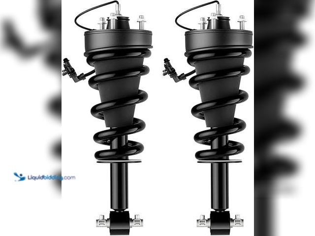Lot 49-1631780 - Pair Front Strut w/Magnetic Fit for 2015-2020 Cadillac Escalade ESV, for Chevy Suburban Tahoe Silver...