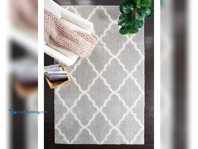 Lot 49-1627121 - Mainstays 5ft x 7ft Grey and White Trellis Style Indoor Fuzzy Area Rug, Slightly Used, Dirty From Sh...