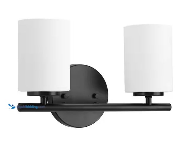 Lot 49-1567683 - Progress Lighting Replay Collection 13 in. 2-Light Black Etched Glass Modern Bathroom Vanity Light, ...