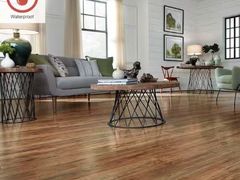 Lot 49-5436983 - undefined