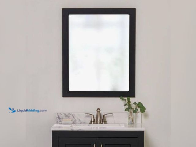 Lot 49-2005561 - Home Decorators Collection 26.26 in. W x 32.01 in. H Rectangular Framed Wall Bathroom Vanity Mirror ...
