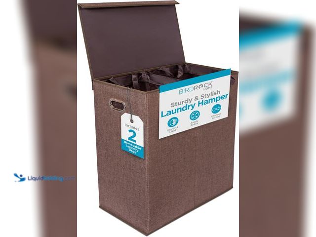 Lot 49-5546182 - BIRDROCK HOME Laundry Hamper with Lid | Removable Bags for Sorting Clothes | Sectioned Laundry Baske...