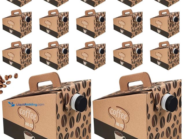 Lot 49-3565828 - Dandat 10 Pcs 160 oz Disposable Coffee Dispenser Box with Spout, Insulated Cardboard Beverage Contai...