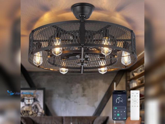 Lot 49-5453019 - Depuley Outdoor Ceiling Fan with Light: 26" Caged Ceiling Fans with Remote App Control for Patio Kit...