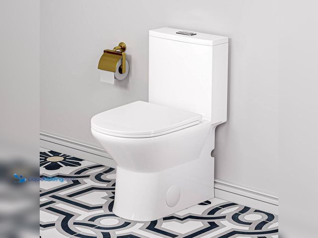 Lot 49-5509854 - Eridanus Naples 25 in. Depth 1.1/1.6 GPF Dual Flush Compact Elongated Chair Height One Piece Toilet ...