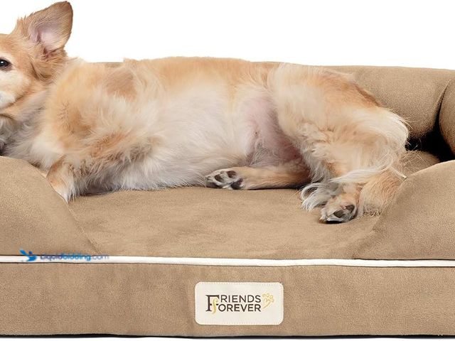 Lot 49-5546179 - Friends Forever Small Dog Bed, Orthopedic Sofa Memory Foam Mattress, Calming Couch, Wall Rim Pillow,...