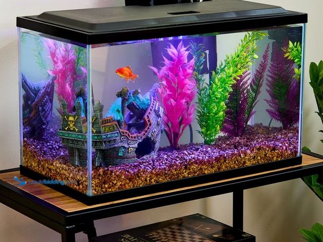 Lot 49-2022741 - Vibrant Life 10 Gallon Aquarium Starter Kit with Blue & White LED Lights, Model # 15316464908, MSRP ...