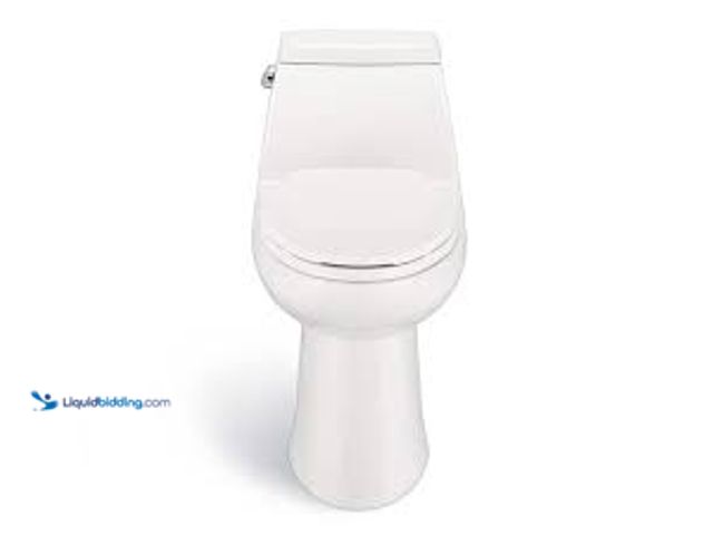 Lot 49-5461265 - Glacier Bay McClure 12 inch Rough In One-Piece 1.1 GPF/1.6 GPF Dual Flush Elongated Toilet in White....