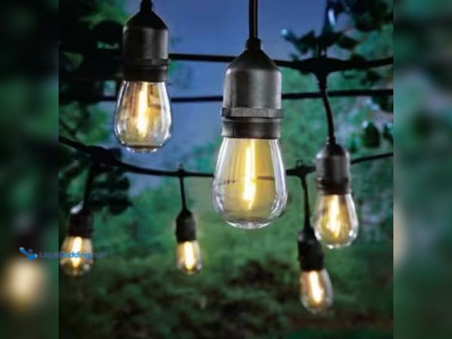 Lot 49-3631173 - Hampton Bay 24-Light 48 ft. Indoor/Outdoor Plug-In Filament LED S14 Edison Bulb String-Light, Model ...