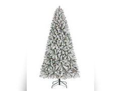 Lot 49-1544880 - undefined