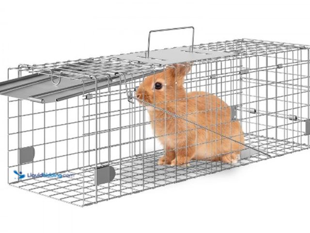 Lot 49-3631272 - VEVOR Live Animal Cage Trap, 24" x 8" x 8" Humane Cat Trap Galvanized Iron, Folding Animal Trap with...