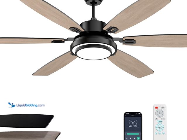 Lot 49-3524029 - 60 Inch Black Large Ceiling Fans with Lights and Remote Control for Living Room, Modern Ceiling Fan ...