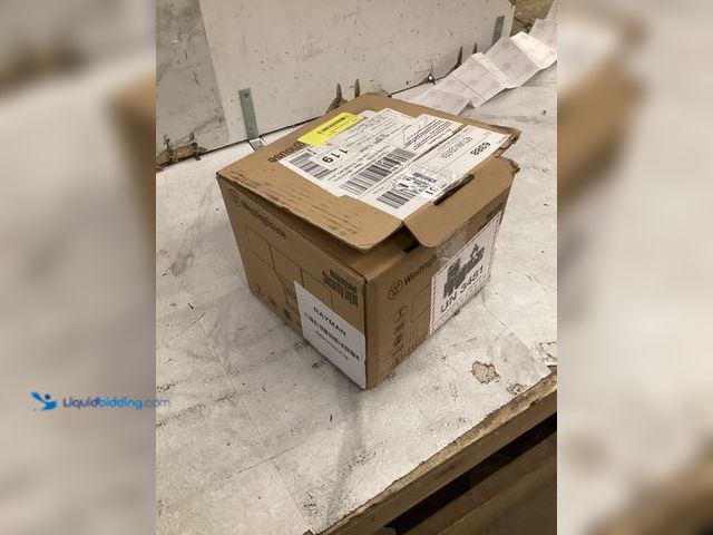 Lot 49-5542844 - WestingHouse Light. Unused