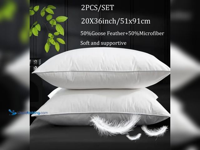 Lot 49-1800254 - 2 King Feather Pillows.