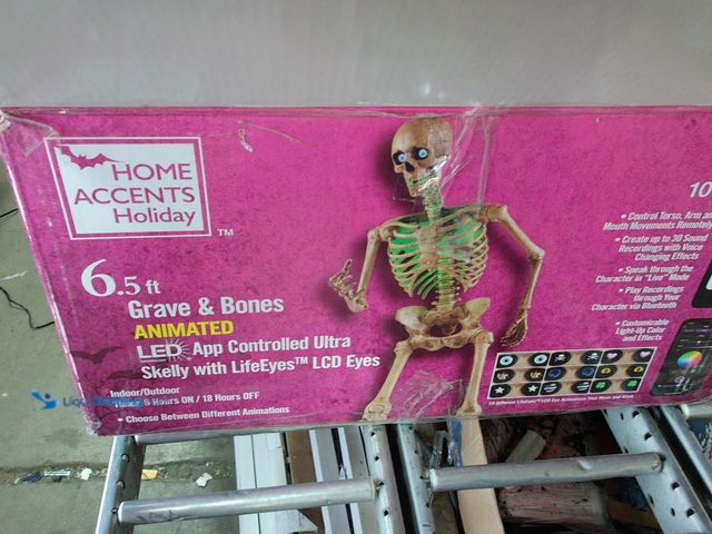 Lot 49-1549428 - Home Accents Holiday 6.5 ft. Grave & Bones Animated LED App Controlled Ultra Skelly with Life Eyes L...